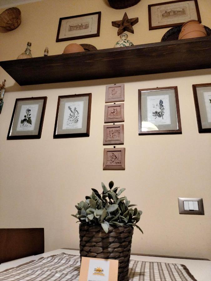 Sunnyside Accademia Appartement Livorno Buitenkant foto